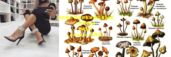 трава Алексеевка